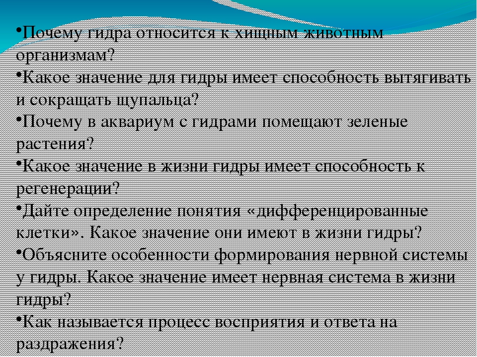 Правила модераторов кракен площадка